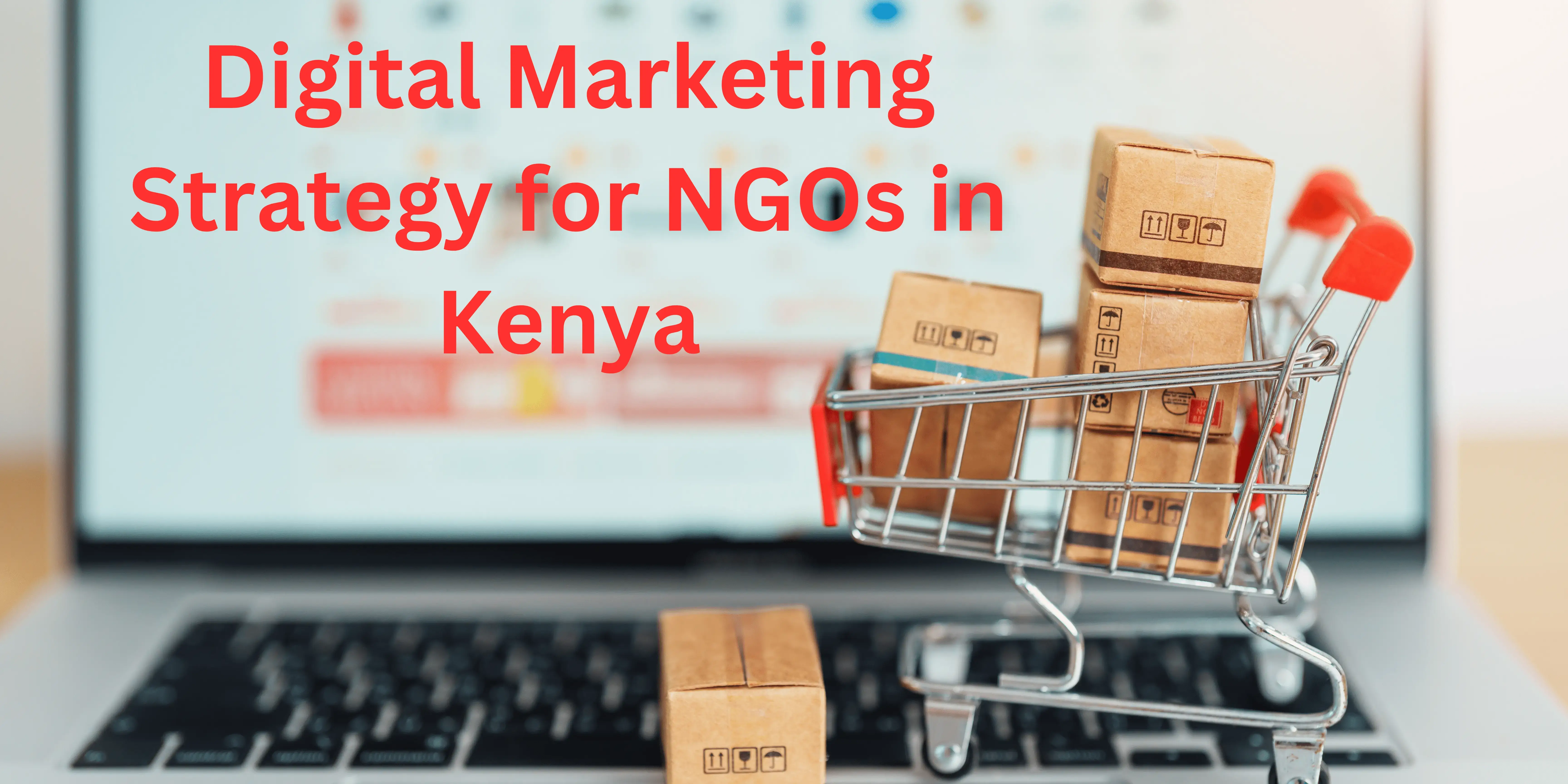 Digital marketing strategy for NGO in Kenya